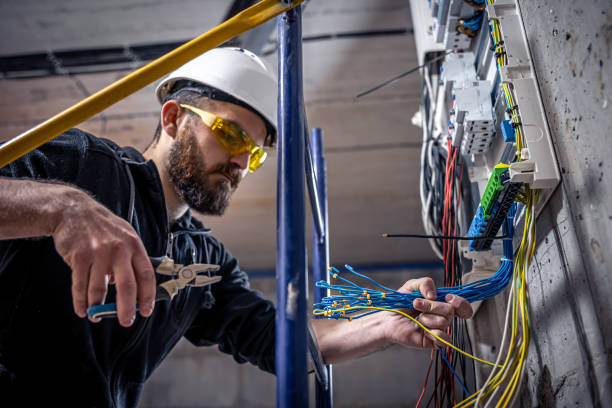 Best Home Electrical Repair  in Pana, IL