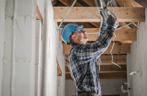 Best Home Electrical Repair  in Pana, IL