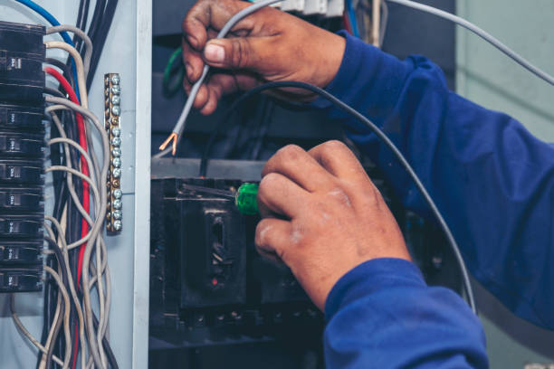 Best Electrical Upgrades for Homes  in Pana, IL